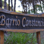 Carilo barrio Constancia lote en venta